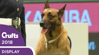 RAF Display Team Perform at Crufts 2018