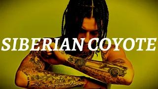 HARD Drill Type Beat 2023 | UK Drill x NY Type Beat "SIBERIAN COYOTE"