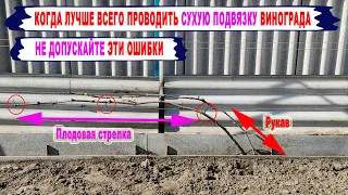 🍇 Обязательно  сделайте ЭТО после ОТКРЫТИЯ ВИНОГРАДА. "Сухая" подвязка. Иначе потеряете много почек.