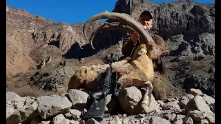 Bezoar Ibex Hunting Attila & Turkish Frontier Outdoor Adventure Co.