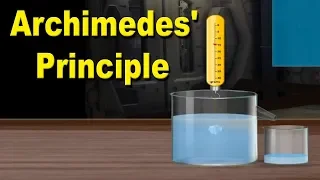 Archimedes' Principle | 9th Std | Physics | ICSE Board | Home Revise