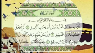 Surah Al-feel tilawat| beautiful recitation سورة الفيل