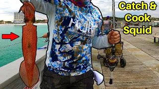Pier Fishing for Big Squid! Catch, Clean, & Cook