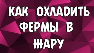 Как охладить фермы в жару летом. Бюджетный вариант с +47 до +29