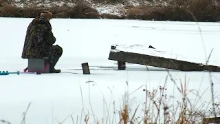 Как ловить плотву зимой со льда в разные месяцы зимы? Все секреты ловли плотвы зимой в одном видео.