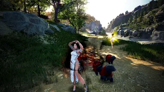 Black Desert online.Лан Традиции!