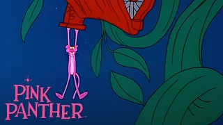Pink Panther and the Giant Beanstalk! | 35 Minute Compilation | Pink Panther Show