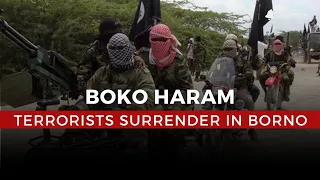 Boko Haram Commander and Five Others Surrender in Borno