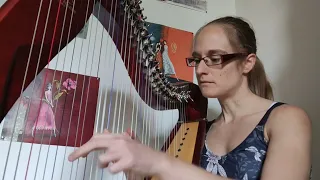 'Nothing else matters' on celtic harp 🎶❤️‍🔥✨