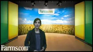 Farms.com Grain Market Report:  Wheat Prices Rise on EU Drought Fears.