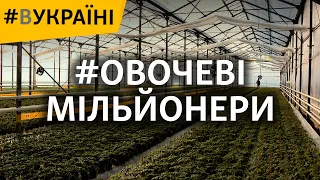 Овочеві мільйонери | #ВУКРАЇНІ