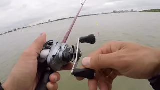 Galveston flounder and blue crab