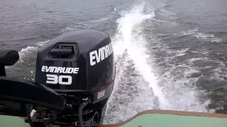 Evinrude E-tec 30 HP