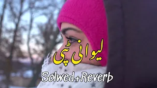 Dardoona Tappy | Had Lewany Tappy | Pashto Very sad Tappy 2023 | Solwed Reverb | Tiktok Viral Songs