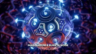 Burn in Noise Vs Imaginarium - Mushrooms