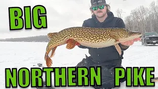 BIG Northern Pike Tip-Up Fishing! | Ice Fishing