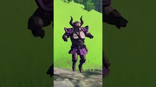 Weird armor design choices in Zelda BotW