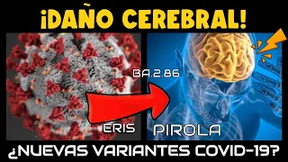 ALERTA ⚠️ CIENTIFICOS REVELAN QUE COVID-19 CAUSARÍA DAÑO CEREBRAL ¿RIESGO CON NUEVAS VARIANTES?