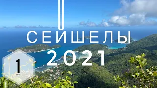 Сейшелы июнь 2021. Аренда машины, доступное жильё, где покупать фрукты.