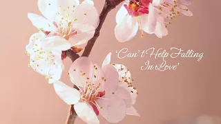 'Can't Help Falling In Love' recorded by Abby Skye