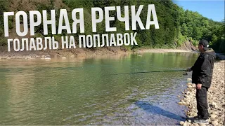 ГОЛАВЛЬ! Горная речка. Рыбалка на поплавок.