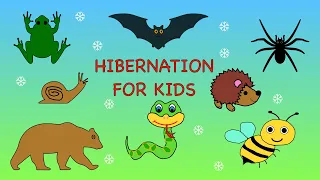 Hibernation for kids | Animals that hibernate