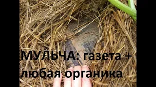 128. МУЛЬЧА — газета + любая органика = от сорняка и на пользу земле.