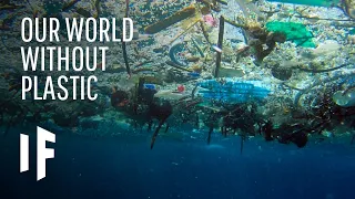 What If Plastic Was Never Invented?