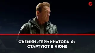 Съемки «Терминатора-6» стартуют в июне