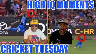 High IQ Moments in Cricket - Cricket Tuesday REACTION