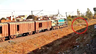 Close on time escape by cows in front of speeding goods train