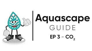 Aquascape Guide - How to Set Up a CO2 System For A Planted Aquarium / EP 3 - CO2