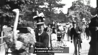 Lumière Brothers: A Legacy Set in Motion