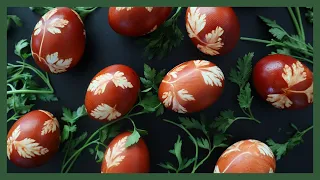 BABA AND I COLOUR EASTER EGGS WITH ONION PEELS AND PARSLEY