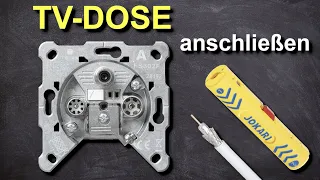 Antennendose anschließen einfach erklärt - Die perfekte Anleitung um eine TV Dose zu installieren!