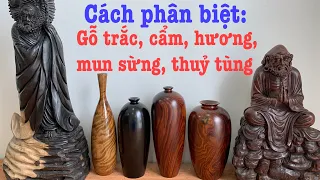Top 5 loại gỗ quý nhất Việt Nam và cách phân biệt khi chọn đồ mỹ nghệ