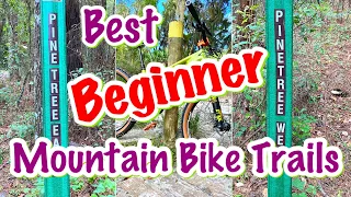 BEST BEGINNER MOUNTAIN BIKE TRAILS in FLORIDA / Easy MTB trails First Time Riders & Family Friendly