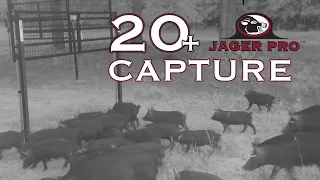 WILD HOG CONTROL | JAGER PRO™ TV Show | HUGE SOUNDER CAPTURE!