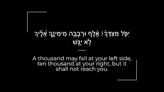 Psalm 91 Zabur/Tehillim Sephardi Hebrew Canting/Recitation with English