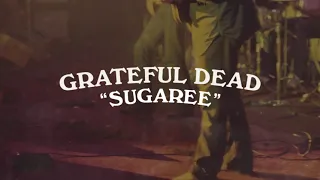 Grateful Dead - Sugaree (Live at the Fox Theatre, St. Louis, MO 12/10/71)