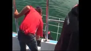 Gansbaai, South Africa - Great White Shark Cage Diving - 04 January 2014