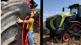 Tracks VS Tires | First Corn Harvest Of The Year