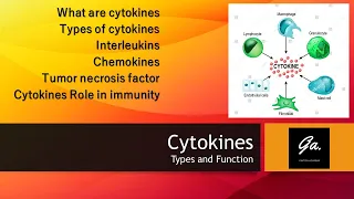 CYTOKINES: Interleukins and their functions |Interferons| Chemokines| Immunology