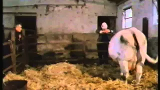 Seventy Summers - The Story of a Farm Pt. 5/5 "The Changing View" (BBC 1987)