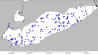 2016 Lake Erie Walleye Fish Movement - West Basin