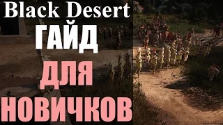 Вступительный ГАЙД для новичков - Black Desert Online