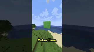 3 BEST Minecraft Commands! 😯