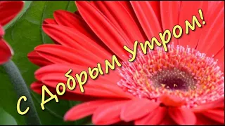 С Добрым Утром! Красивое пожелание доброго утра. Желаю  счастья, отличного настроения!