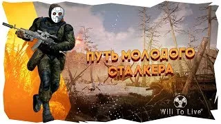 Will To Live Online / НАЁМНИК 17 + LVL в поисках артефактов