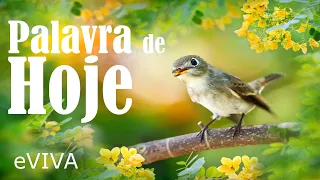 PALAVRA DO DIA 09 DE ABRIL DE 2024 | DEVOCIONAL DIÁRIO | MOTIVACIONAL E REFLEXÃO DE VIDA eVIVA